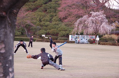 0803313.jpg