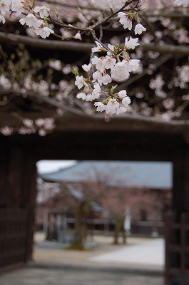 0803315.jpg