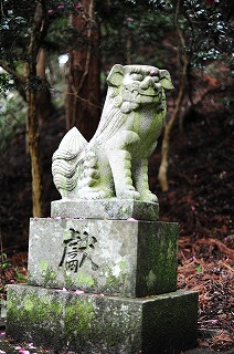 DSC_3567.jpg