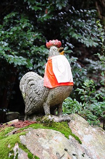 DSC_3593.jpg