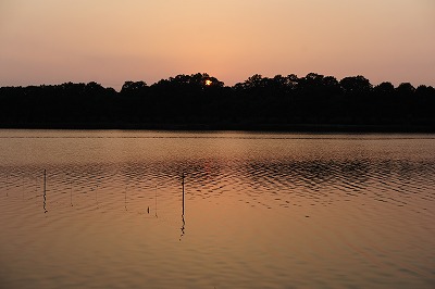 DSC_8603.jpg