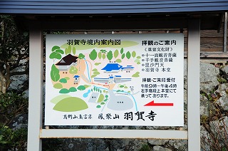 DSC_8995.jpg
