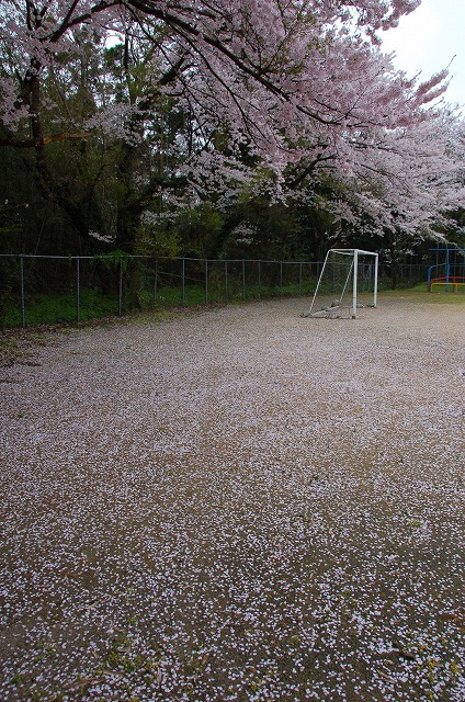 yoshizaki01.jpg